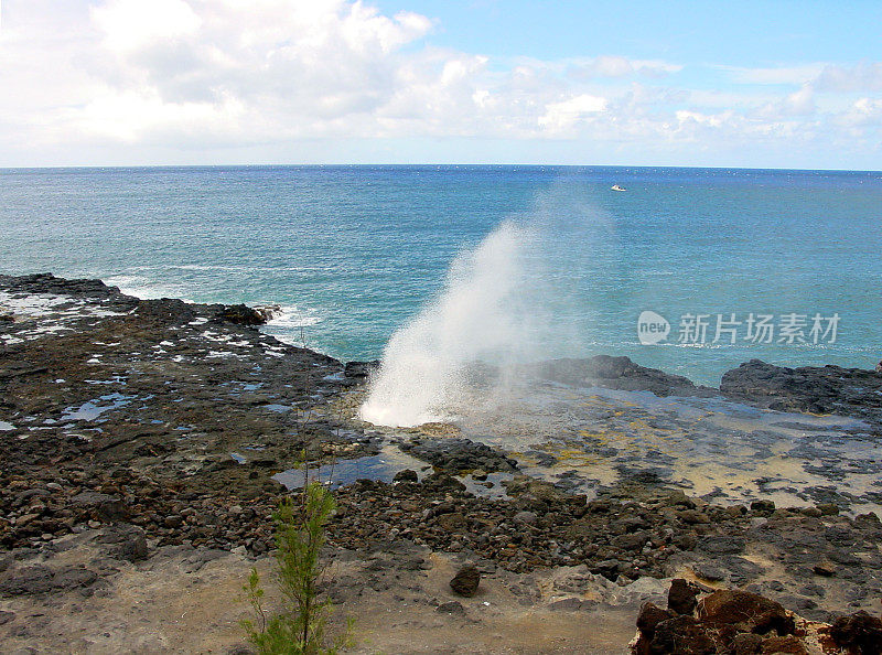 Poipu海滩的喷水角