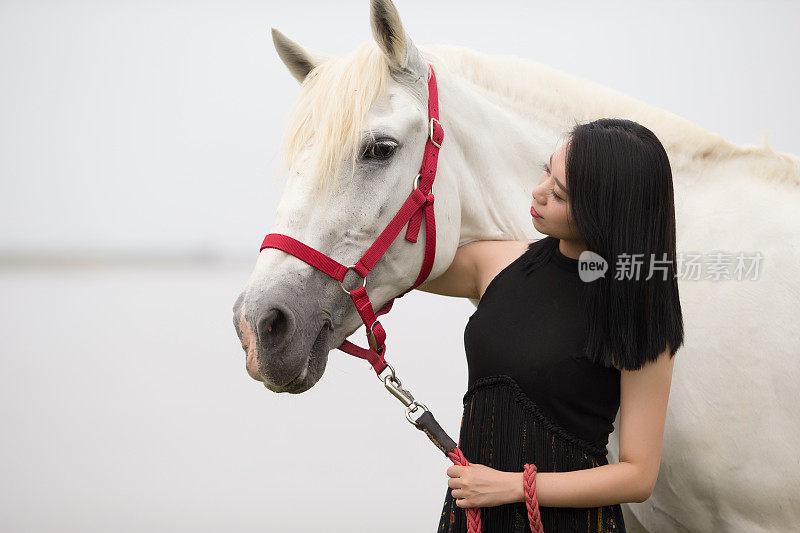 本质上的女人和马