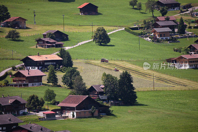 夏天在瑞士阿尔卑斯山装载刚割好的干草
