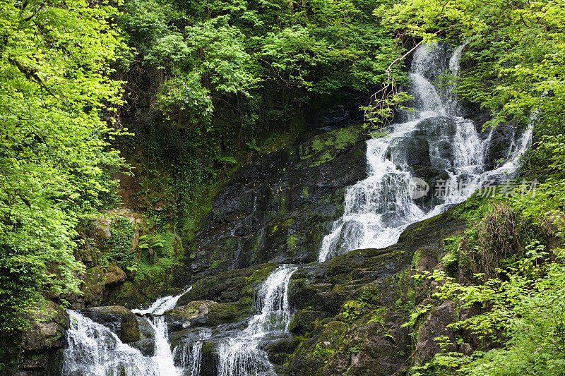 爱尔兰克里郡的托克瀑布