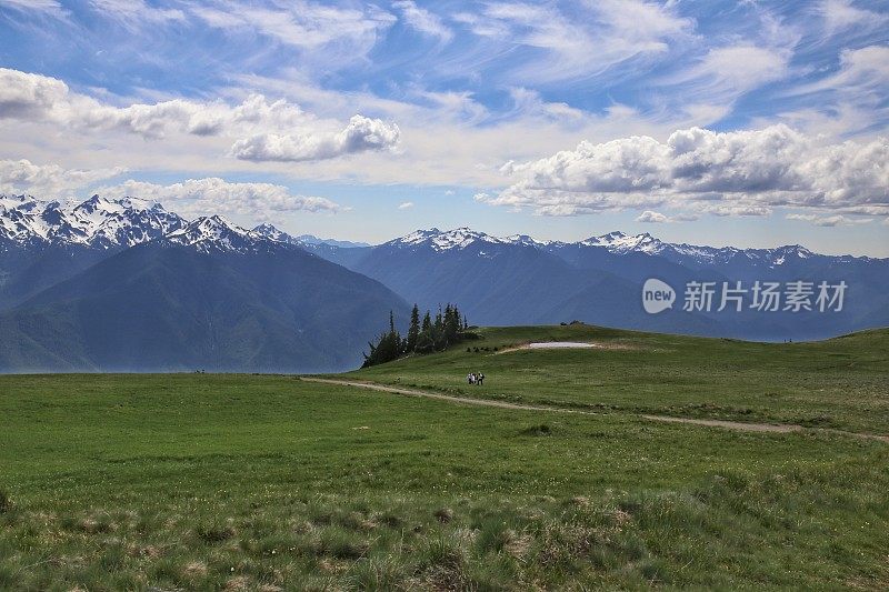 飓风岭山径，奥林匹克国家公园，西澳