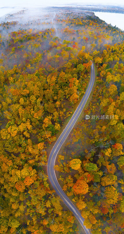 鸟瞰图的道路通过森林的惊人的秋天颜色