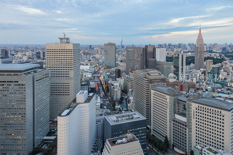 东京城市城市