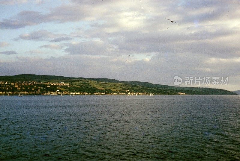 1970海鸥离海岸