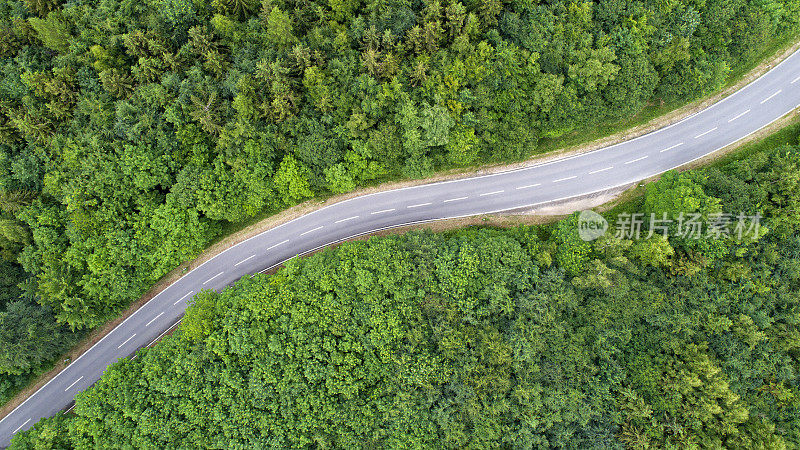 蜿蜒的道路穿过森林