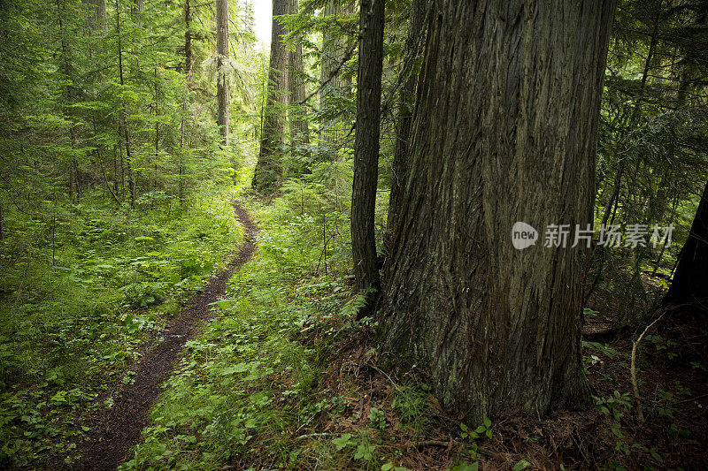 山地自行车路线