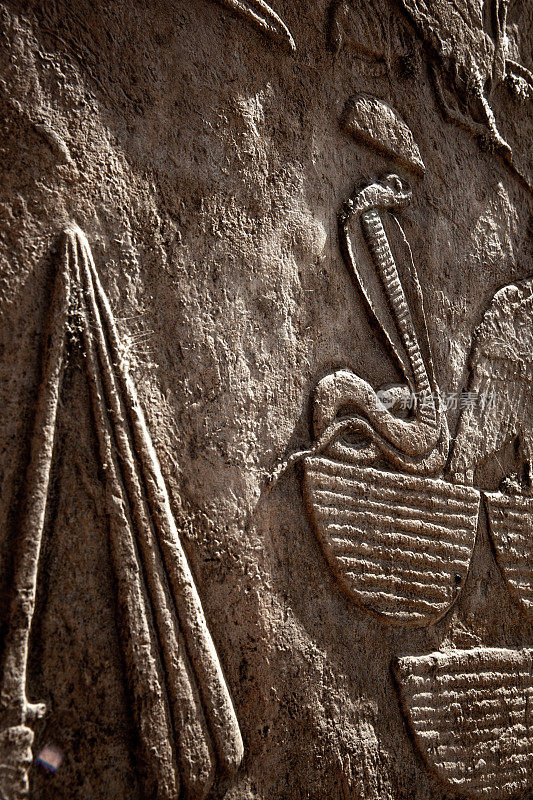 埃及神阿蒙的象形文字