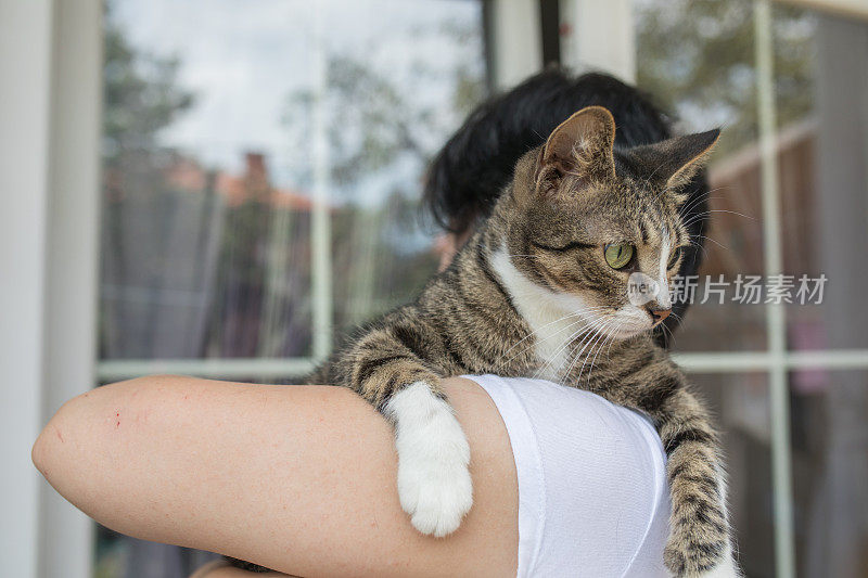 一个陌生的年轻女人抱着她的条纹猫