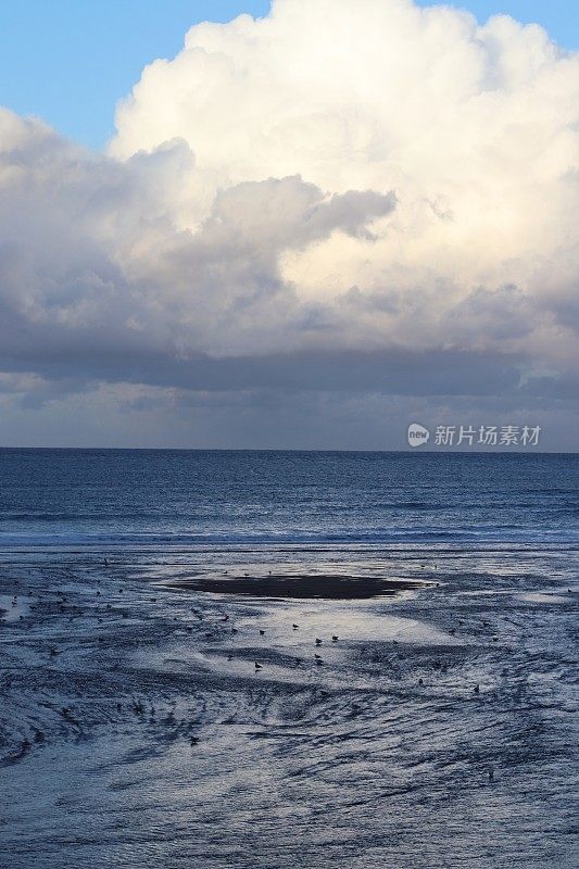 海面和海岸线上的云朵和海鸥