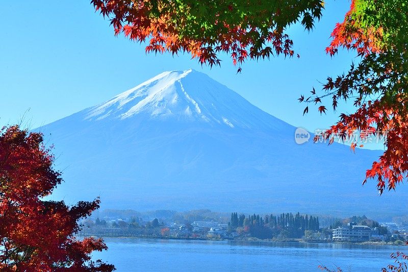 日本富士五湖地区的富士山和秋叶