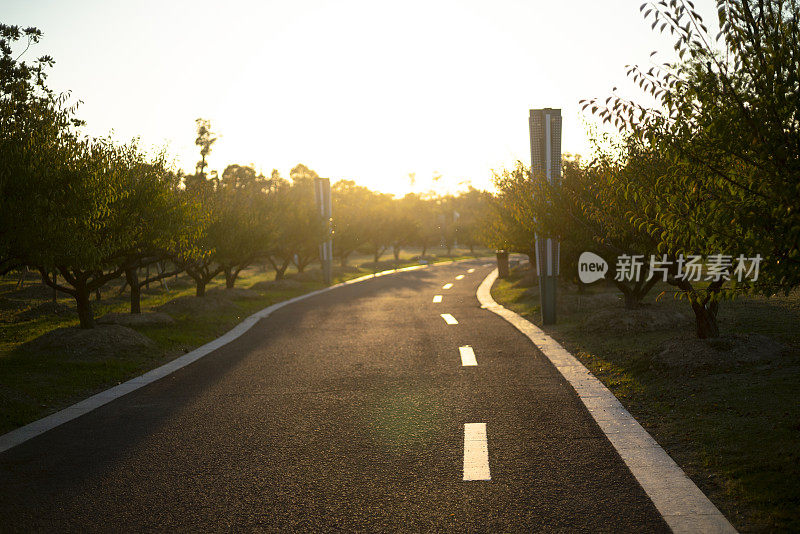 蜿蜒穿过草坪和林地