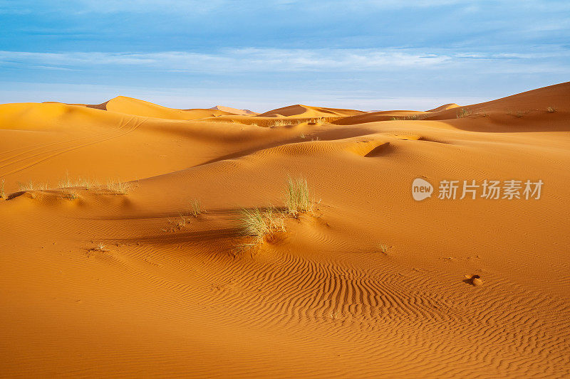 巨大的橙色沙状沙丘和多云的天空在Merzouga沙漠，摩洛哥。