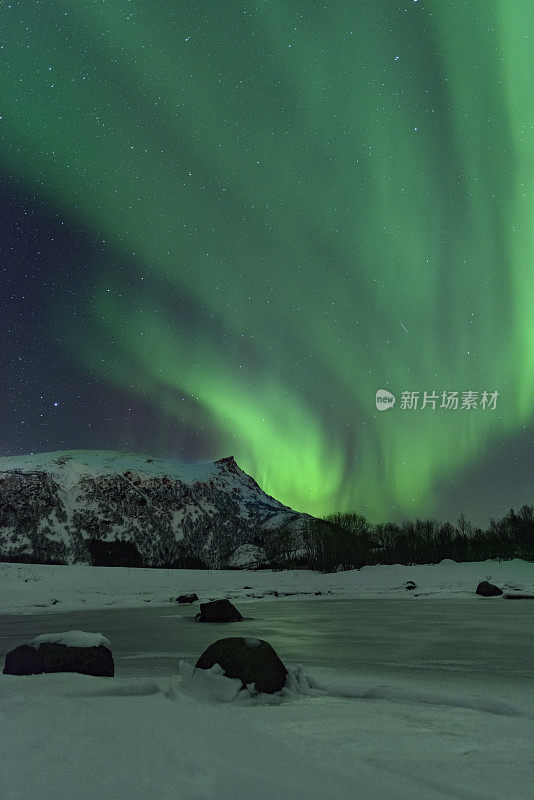 北极光，北极光或北极光在夜空中在罗浮敦群岛在挪威北部