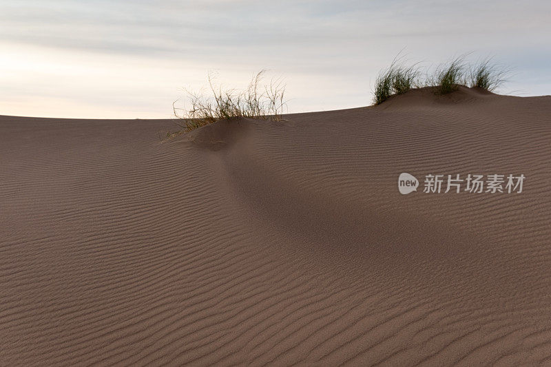 在伊朗沙漠