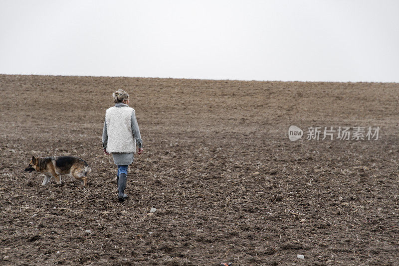 一个关于隔离和社会距离的概念。一个女人独自在田里遛狗。