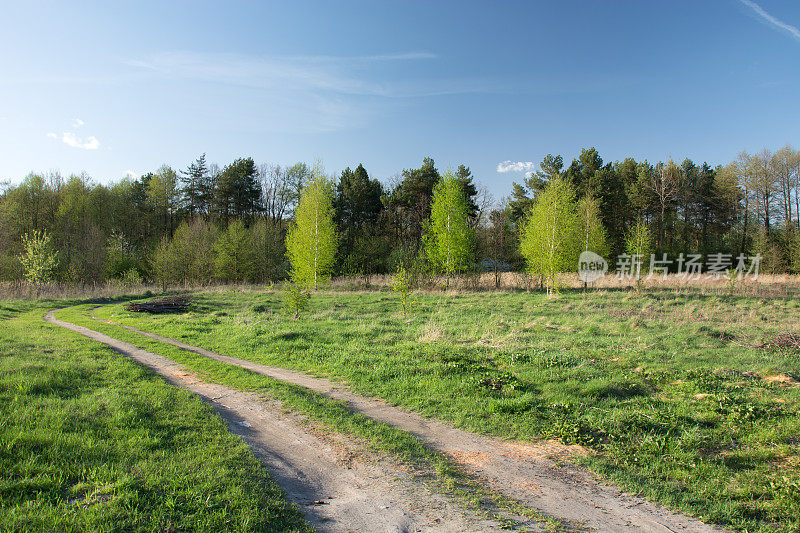 乡村道路穿过一片草地，前面是森林和蓝天