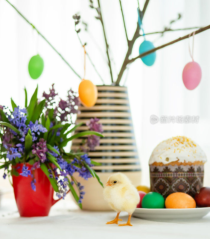 一只活鸡在复活节蛋糕的背景上画上彩蛋和复活节装饰。