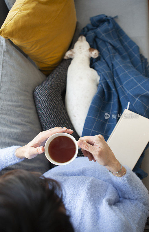 在家和宠物一起读书