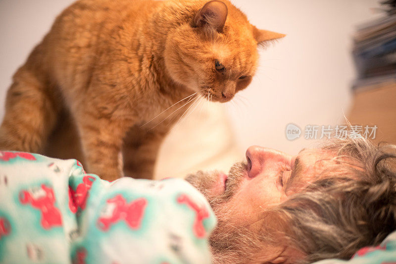 姜猫和老人在床上休息