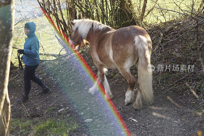 女盛装舞步训练师带领马匹穿过乡村景观