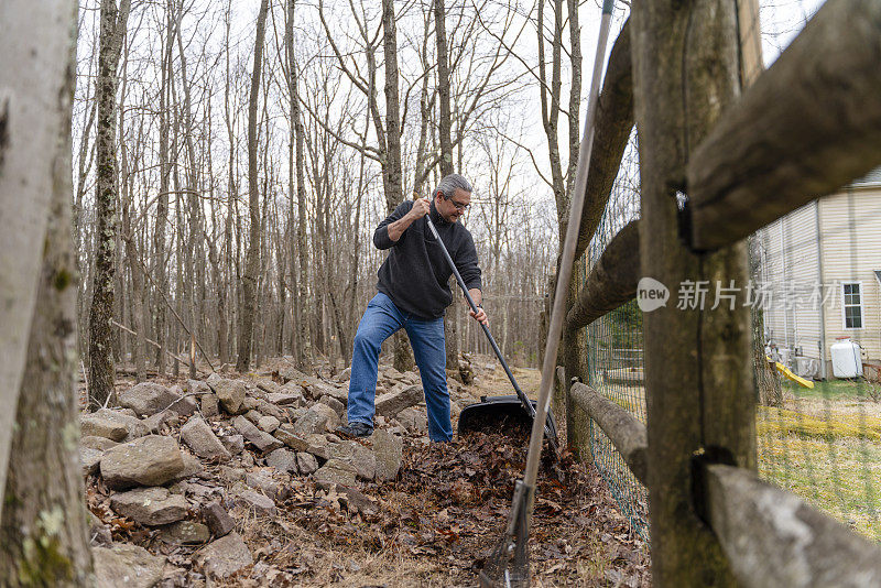 一名50岁的男子扎着马尾辫，春天的时候正在清理后院的落叶。