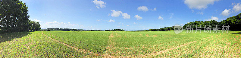 英格兰新森林罗克伯恩白垩丘陵上的耕地全景