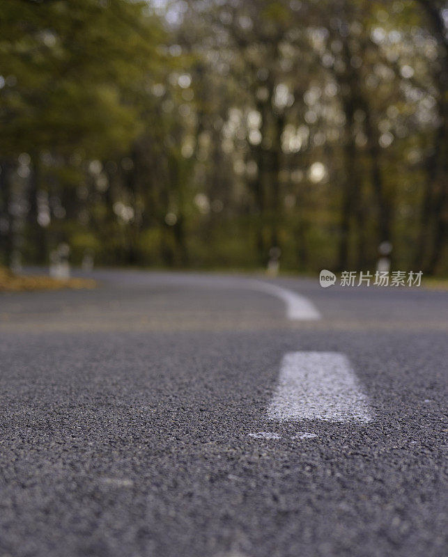 穿越秋林的道路