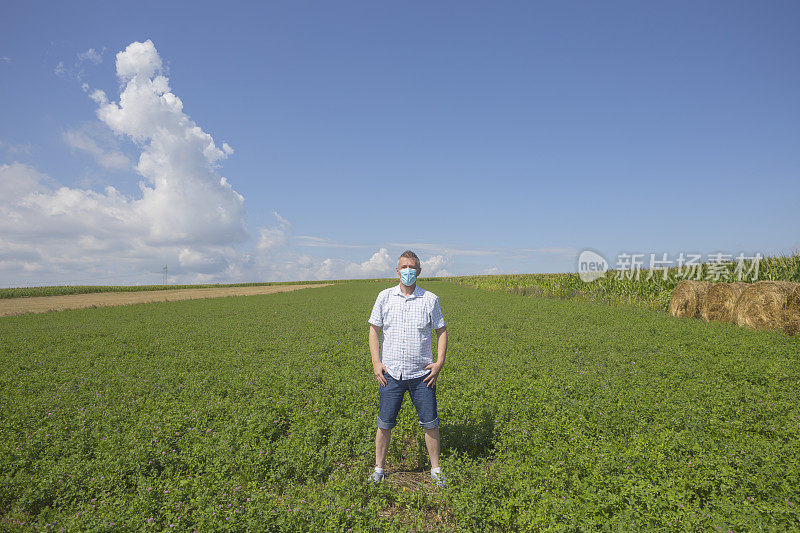 成年农夫在三叶草农田上戴上防护口罩，以防止病毒感染