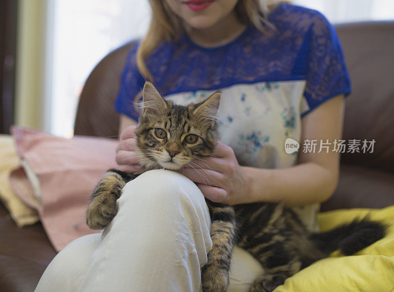 一个女人坐在沙发上和一只缅因猫玩耍