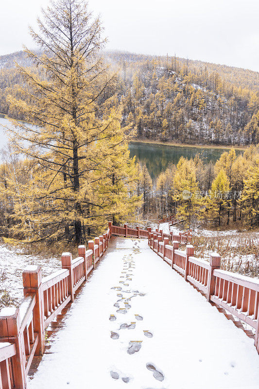 湖边树林里的木质楼梯上覆盖着积雪和脚印