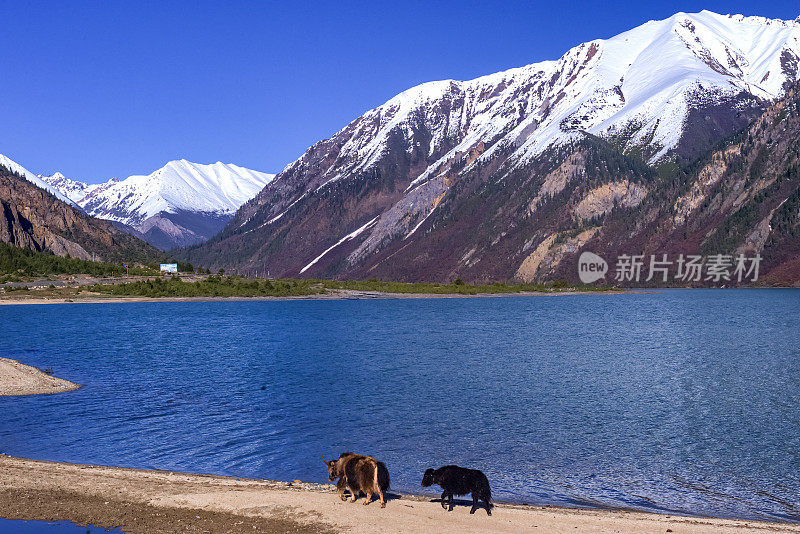 清晨，中国西藏的拉瓜措然婺湖