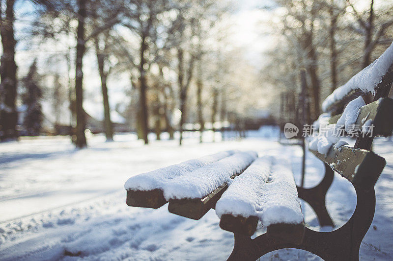 白雪覆盖的公园长椅在阳光明媚的冬日阳光下
