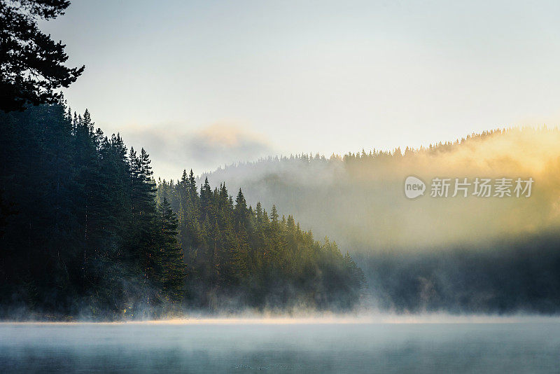 晨雾笼罩着一个美丽的湖，周围是松树林的照片