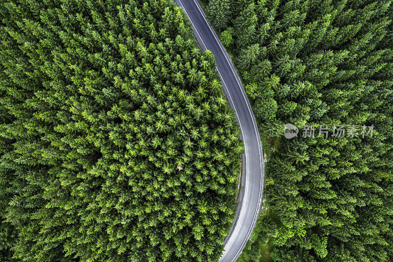 鸟瞰绿色森林中的山路