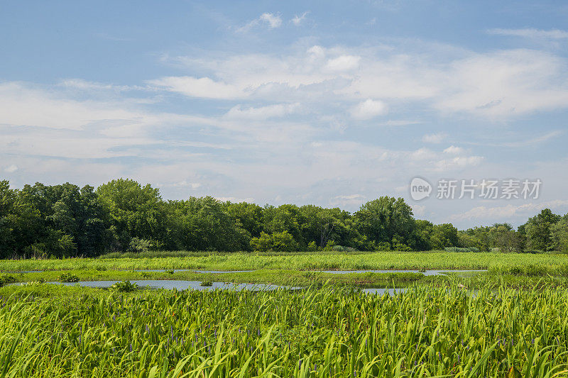 约翰・海因茨国家野生动物保护区的夏日风景