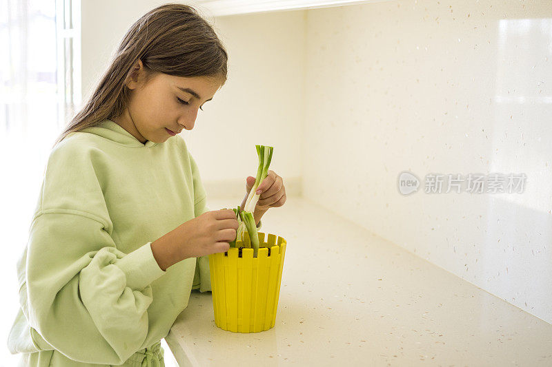 美丽的女孩又在土壤里发芽了