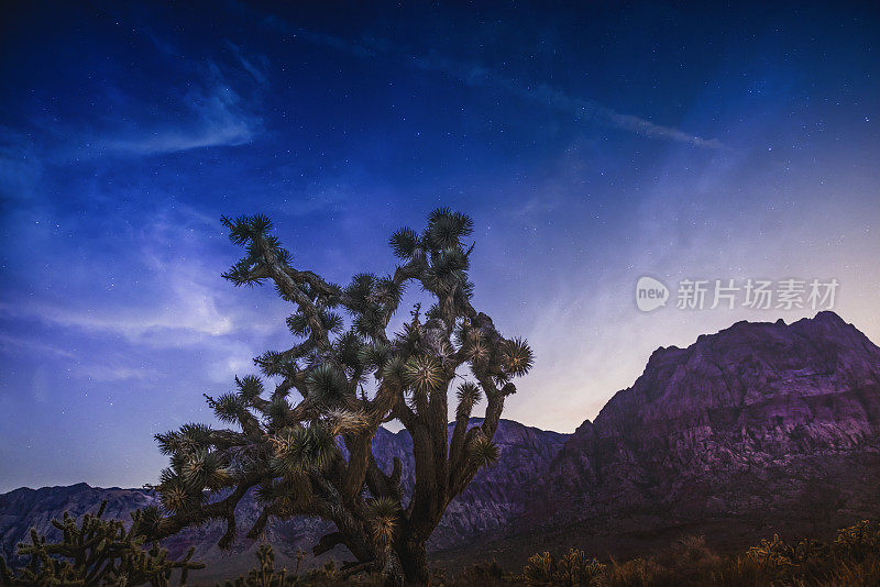 内华达州沙漠的夜景