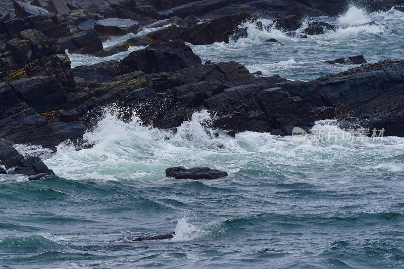 缅因州的落基海岸线