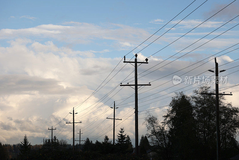 一排排的电线杆在绿化带在加拿大