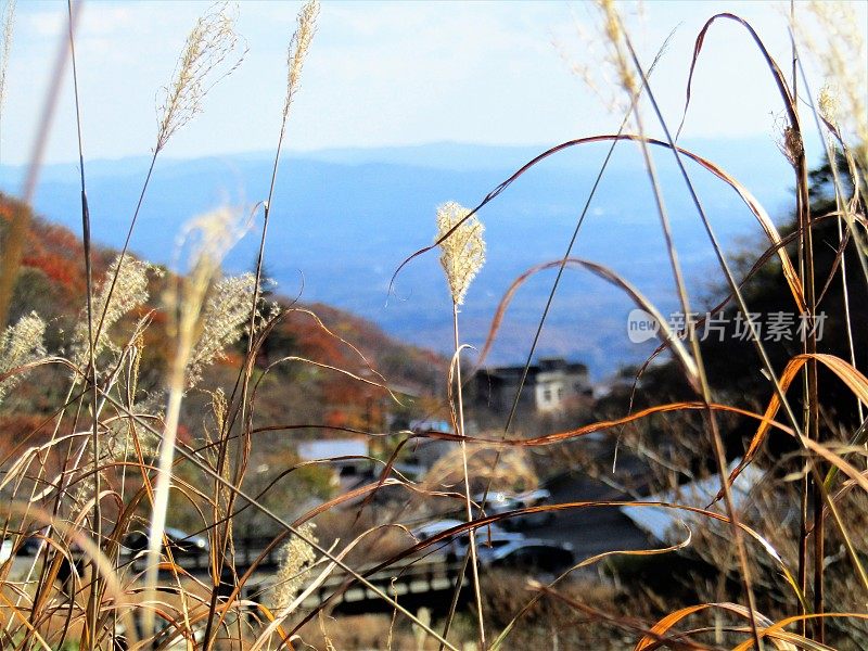 日本。11月。从山上看。