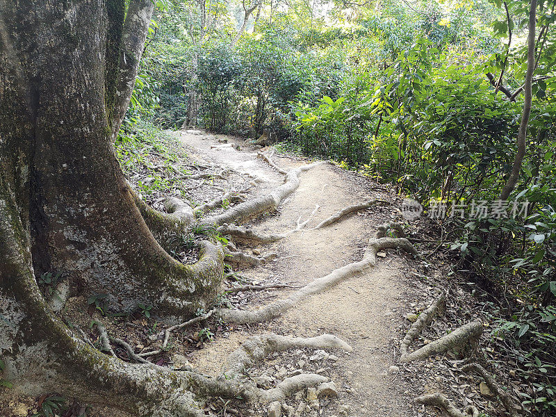 香港城门水塘郊野公园的行人径