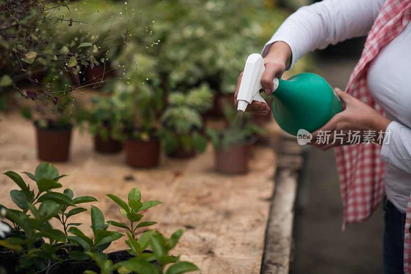 年轻的花匠在照顾她的花