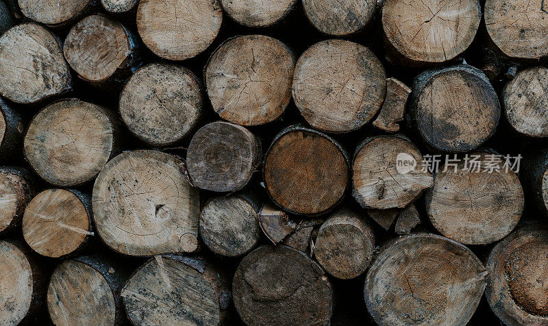 一束自然切割的木头原木树桩木材。伐木工锯木厂图案纹理。前视图。