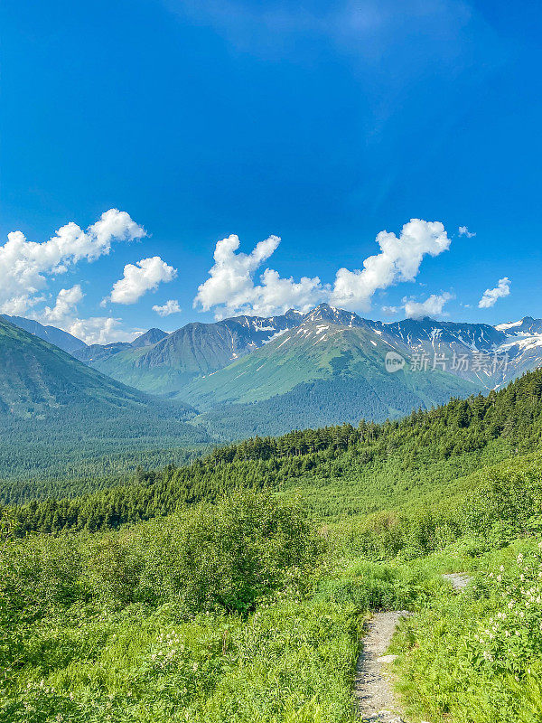 在阿拉斯加格德伍德徒步旅行