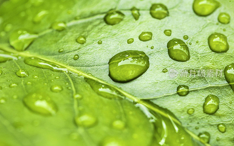 期待已久的雨过后