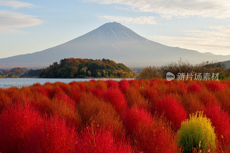 山梨县川口湖畔的富士山和五彩缤纷的高山