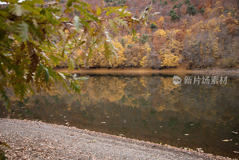 森林之家的美丽秋色和Boraboy湖的倒影