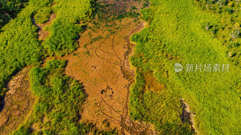 阿拉斯加沼泽地-无人机飞越阿拉斯加内陆