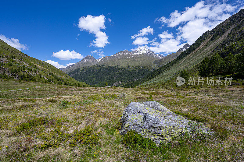 奥地利蒂罗尔阿尔卑斯山脉的春季草地