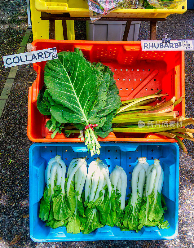 农贸市场的蔬菜——羽衣甘蓝、小白菜和大黄